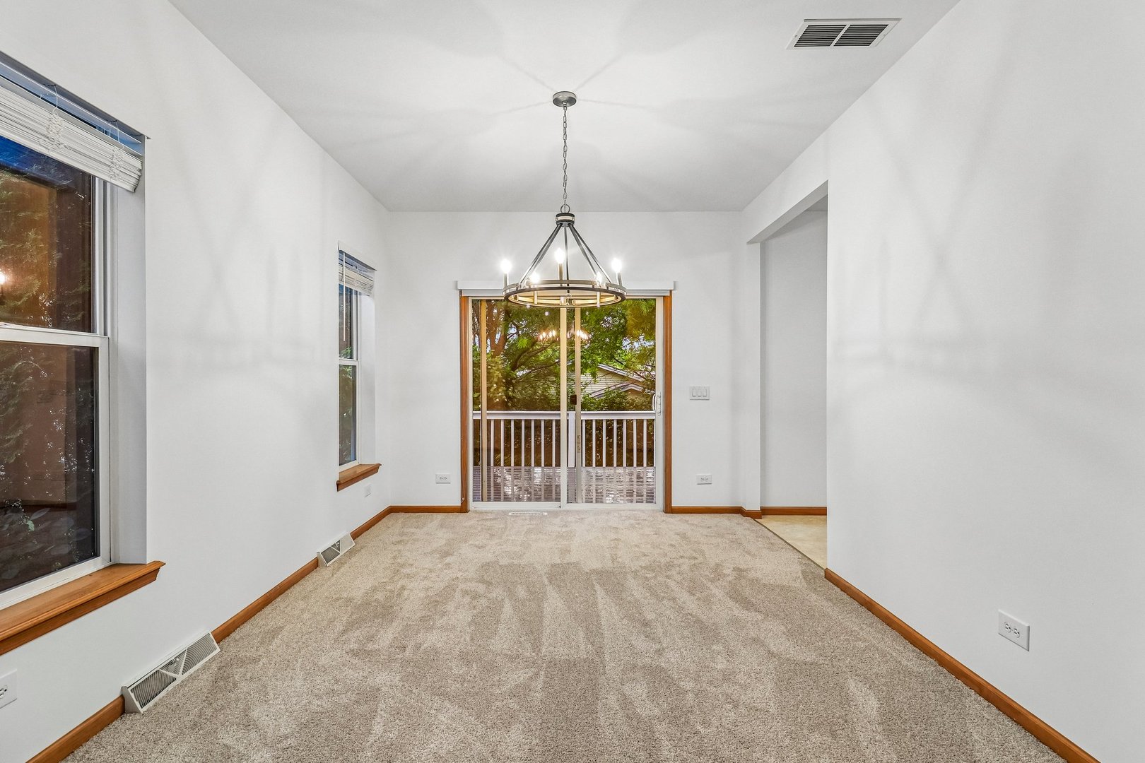 227 Rodeo Drive Grayslake, IL 60030 - Photo 8 of 30