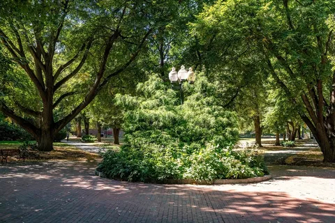 $4,175 | 15 Thatcher Street, Unit B, Brookline, MA 02446