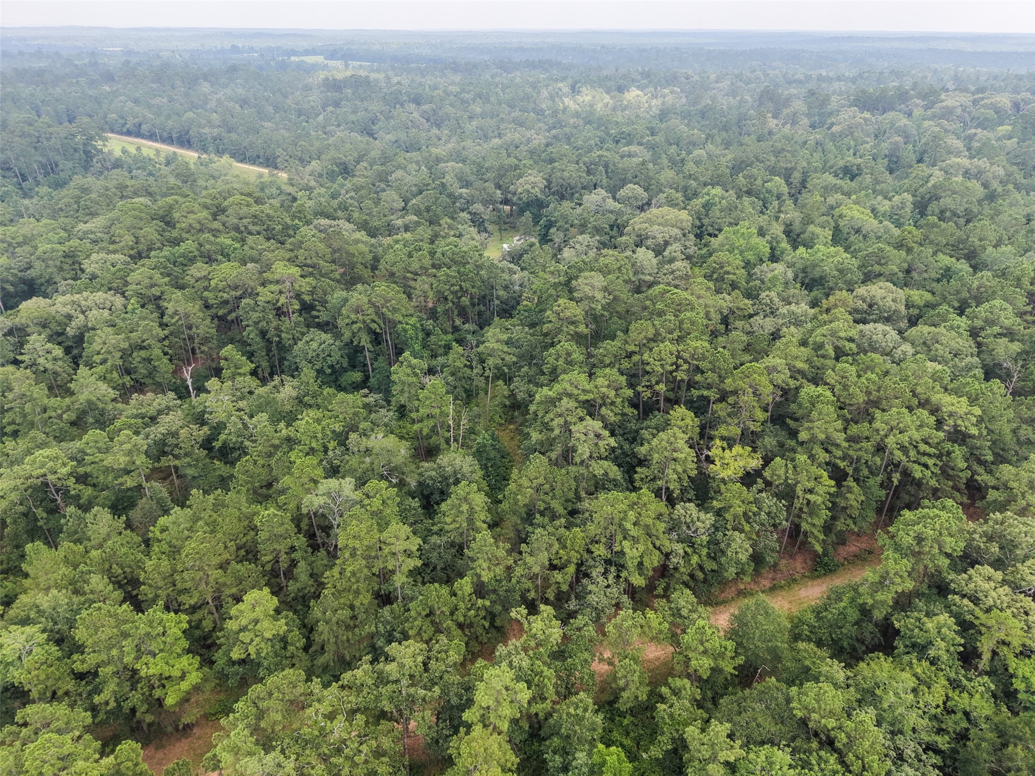 577 Winding River Road South Oakhurst, TX 77359 - Photo 33 of 44