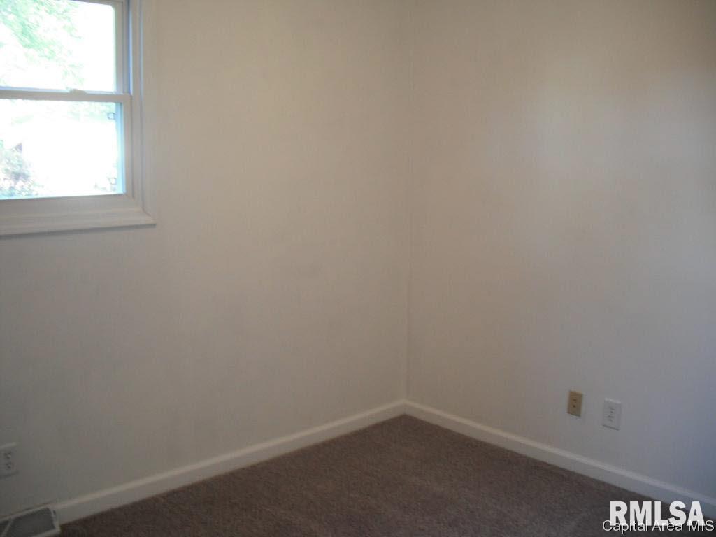 329 Water Street Rochester, IL 62563 - Photo 13 of 15