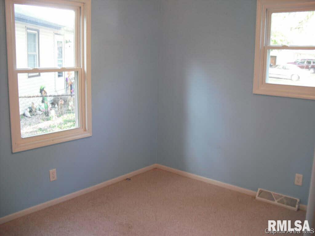 329 Water Street Rochester, IL 62563 - Photo 14 of 15