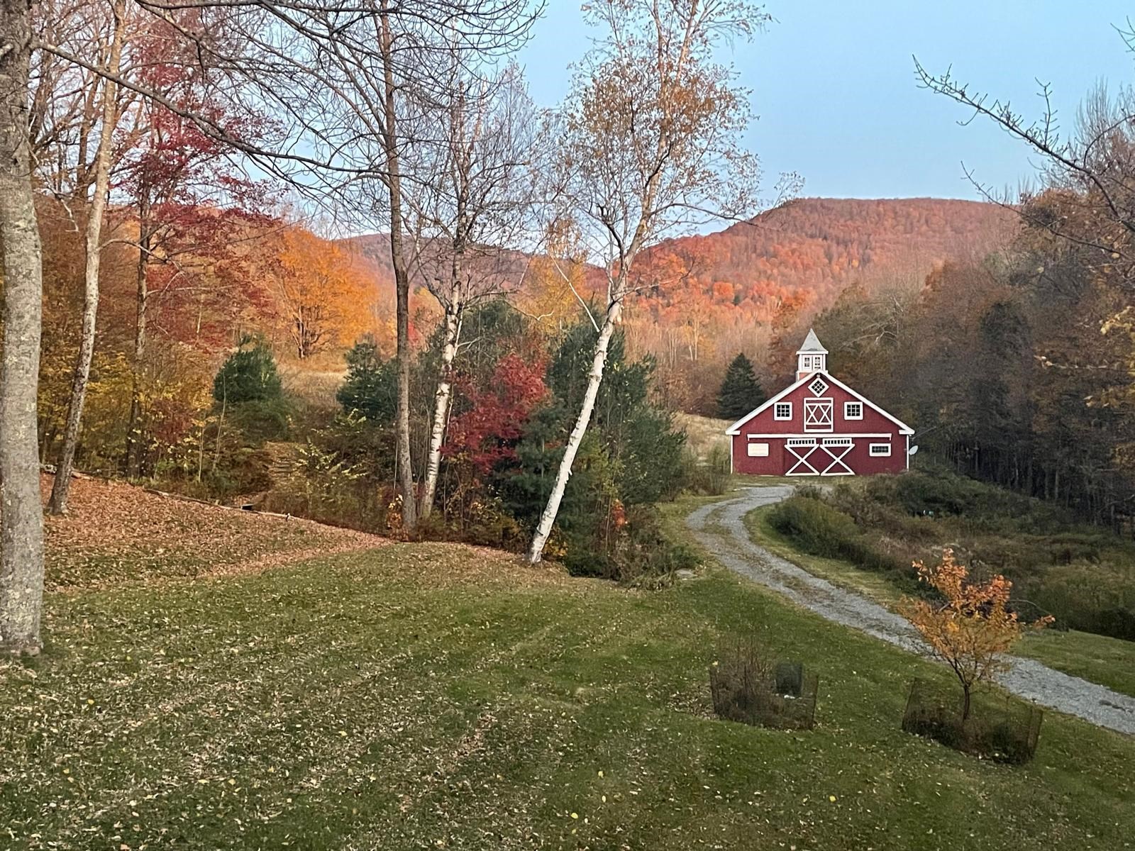 151 Holland Road Dover, VT 05341 - Photo 33 of 47