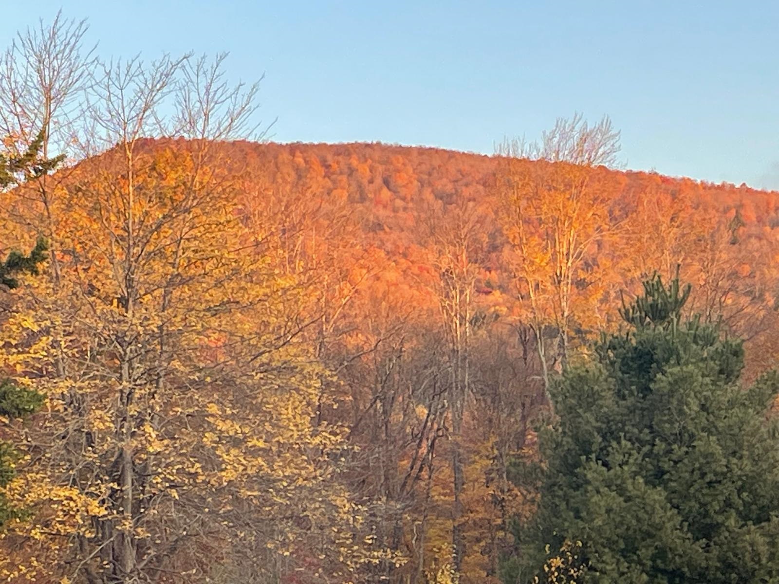 151 Holland Road Dover, VT 05341 - Photo 35 of 47