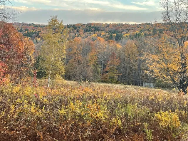 $999,000 | 151 Holland Road, Dover, VT 05341