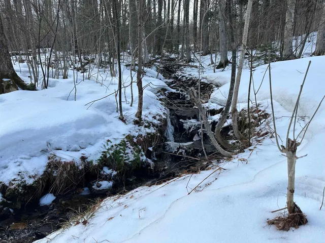 $999,000 | 151 Holland Road, Dover, VT 05341