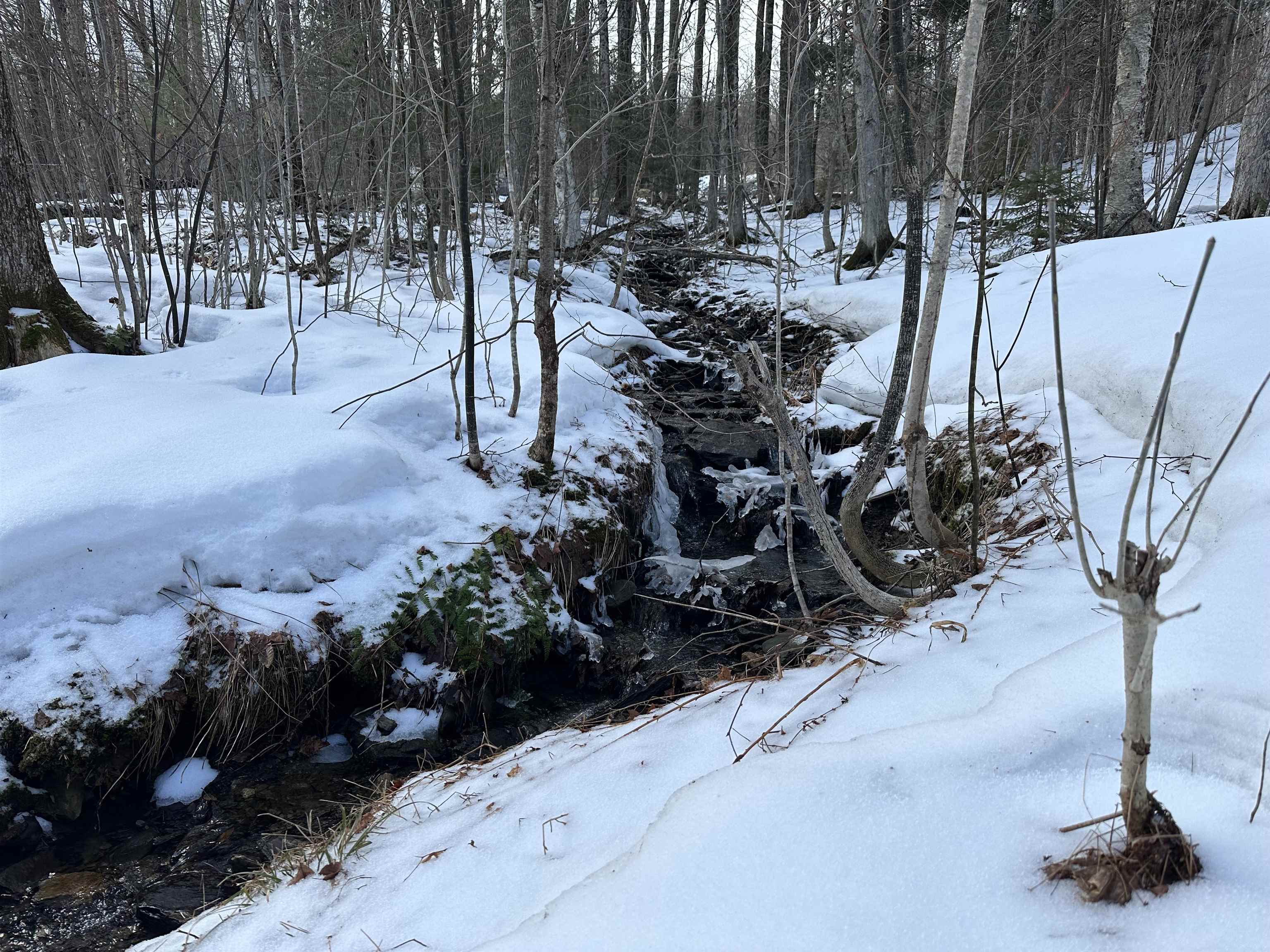 151 Holland Road Dover, VT 05341 - Photo 37 of 47