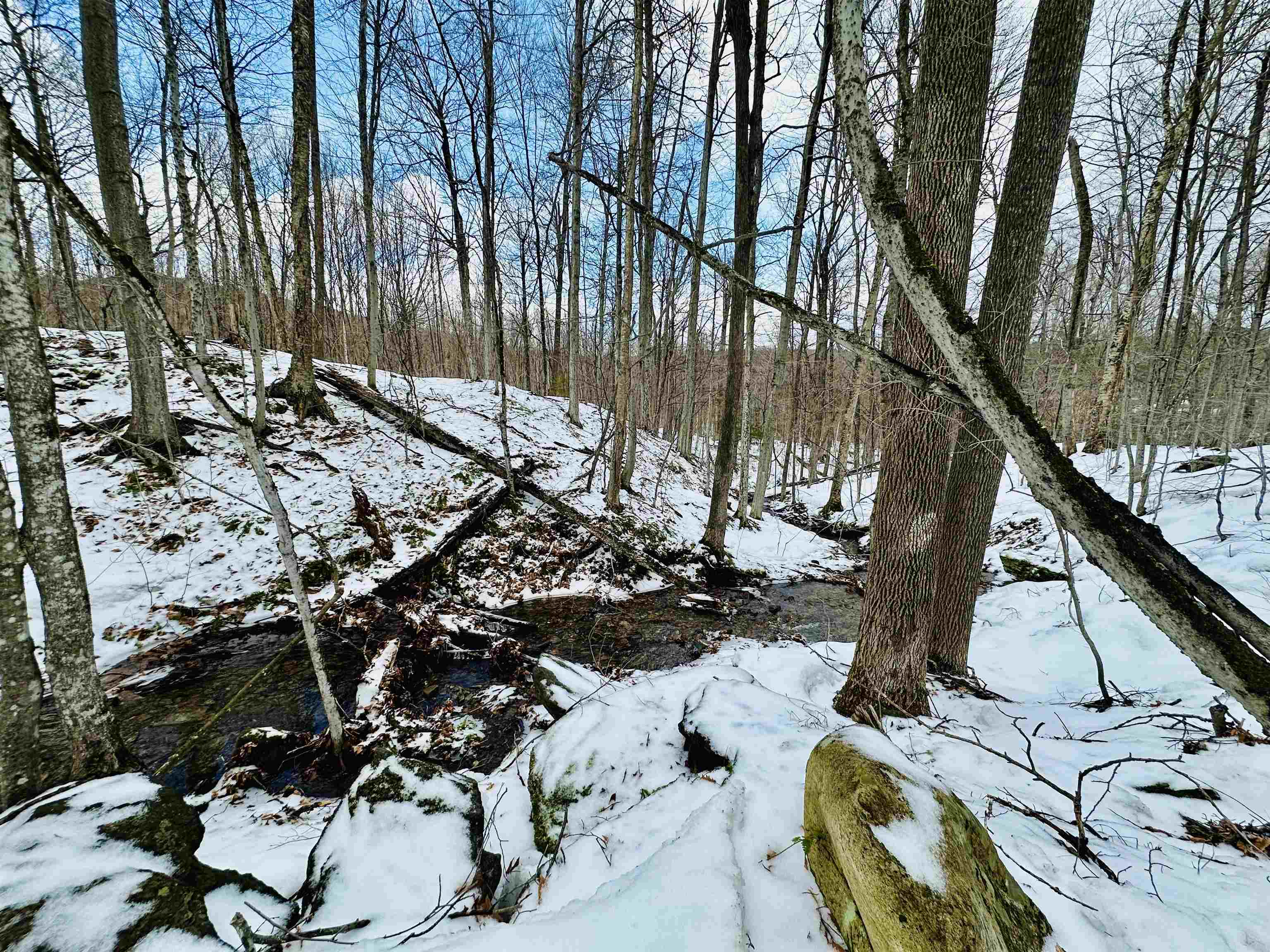 151 Holland Road Dover, VT 05341 - Photo 40 of 47