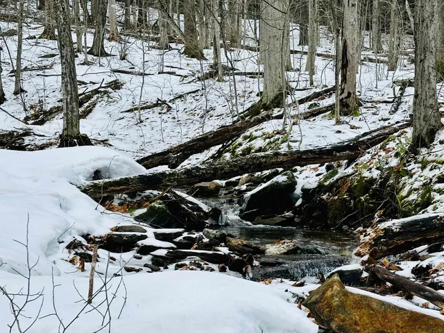 $999,000 | 151 Holland Road, Dover, VT 05341