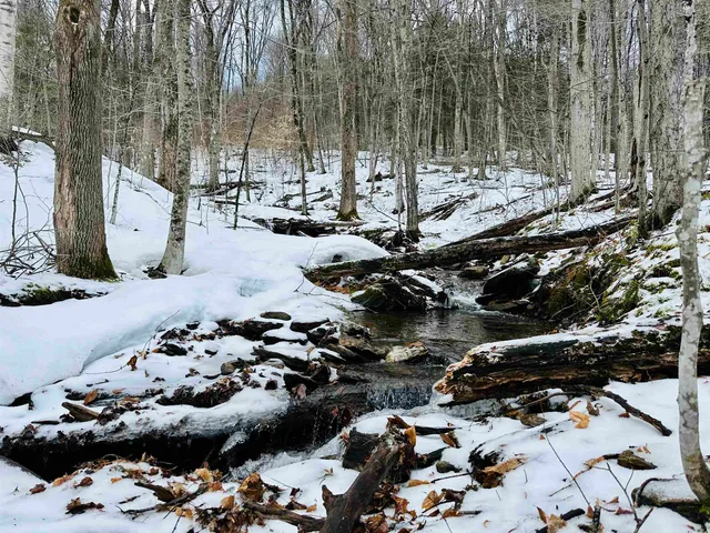 $999,000 | 151 Holland Road, Dover, VT 05341