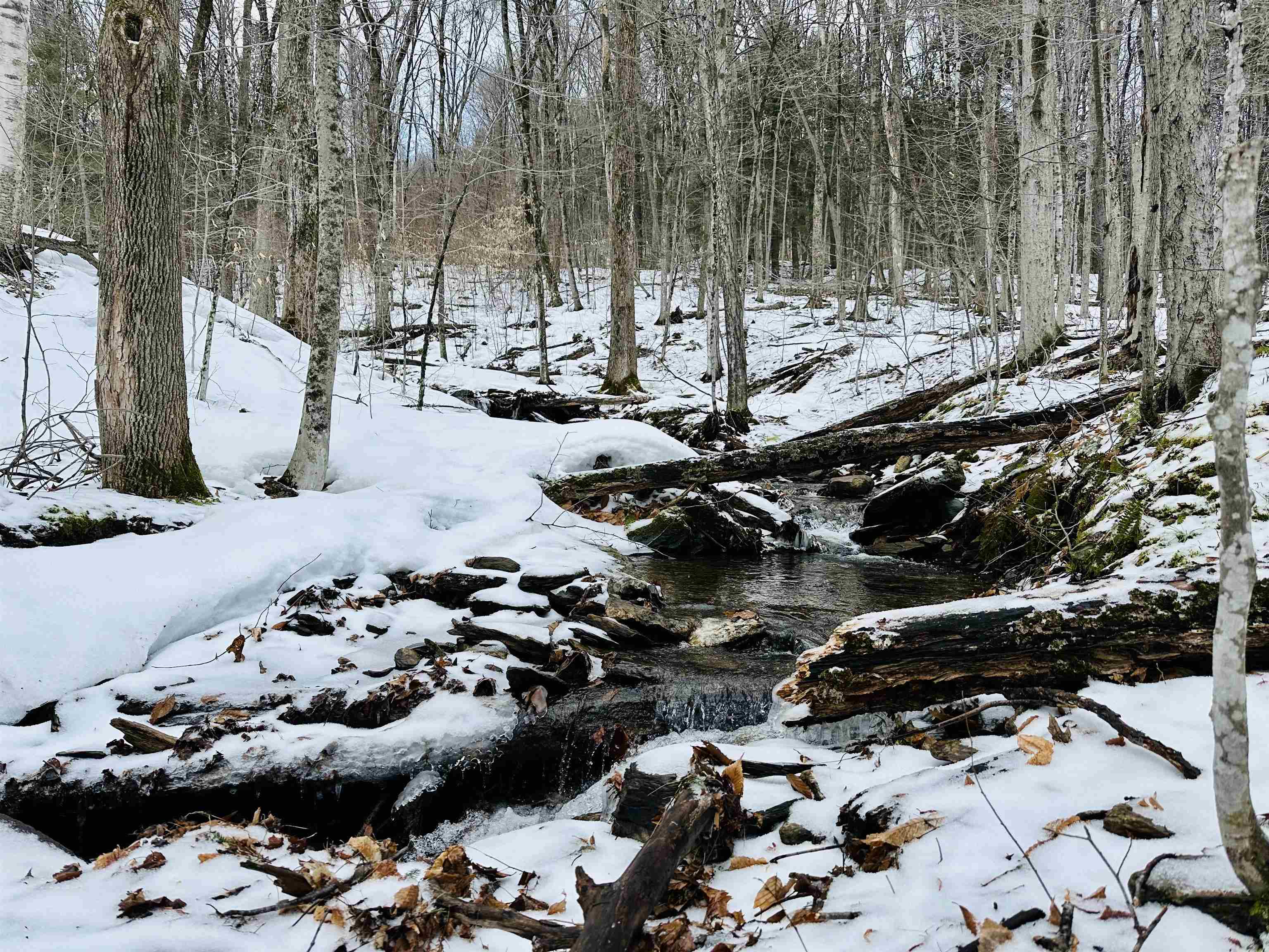 151 Holland Road Dover, VT 05341 - Photo 42 of 47