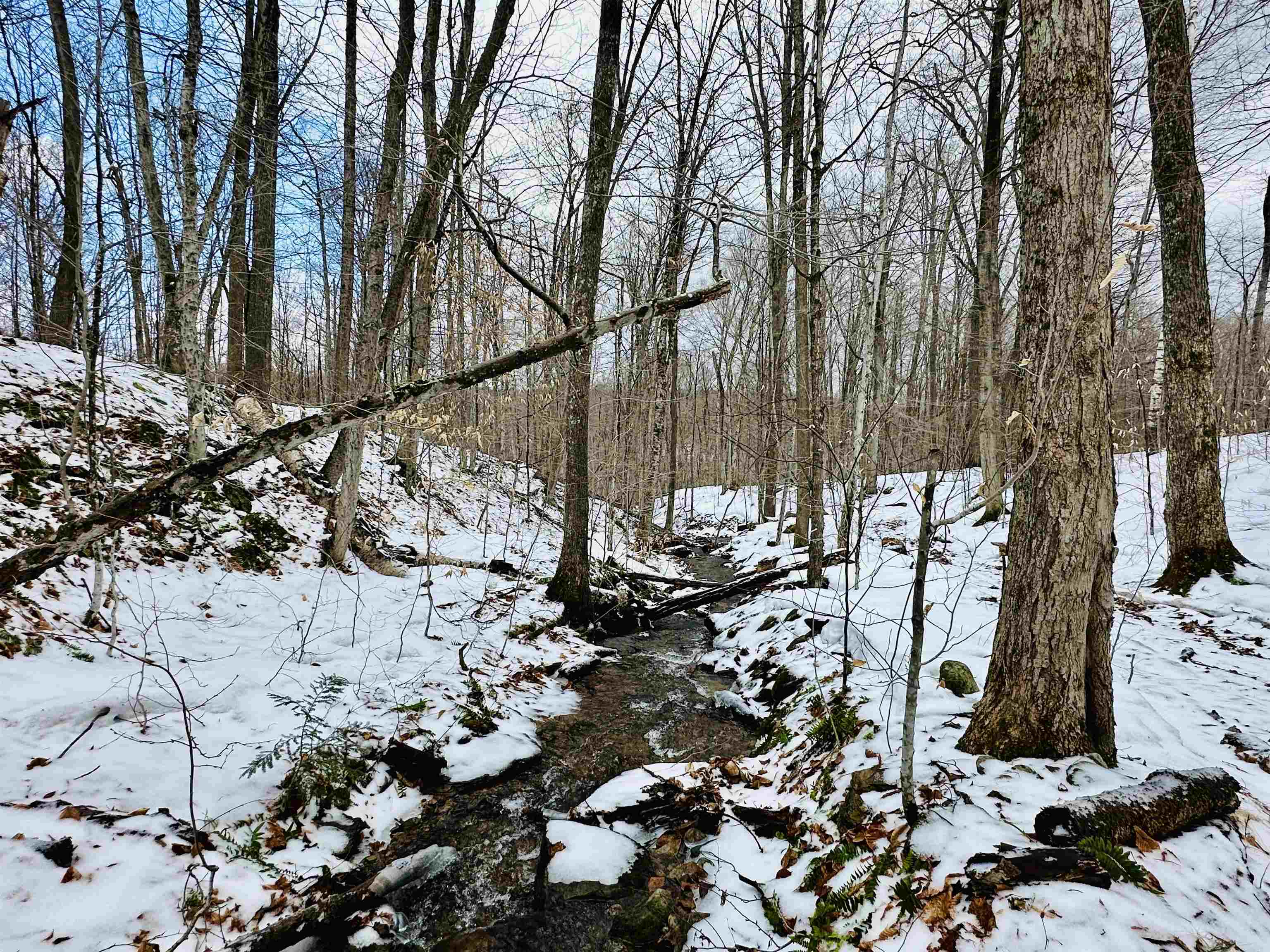 151 Holland Road Dover, VT 05341 - Photo 43 of 47