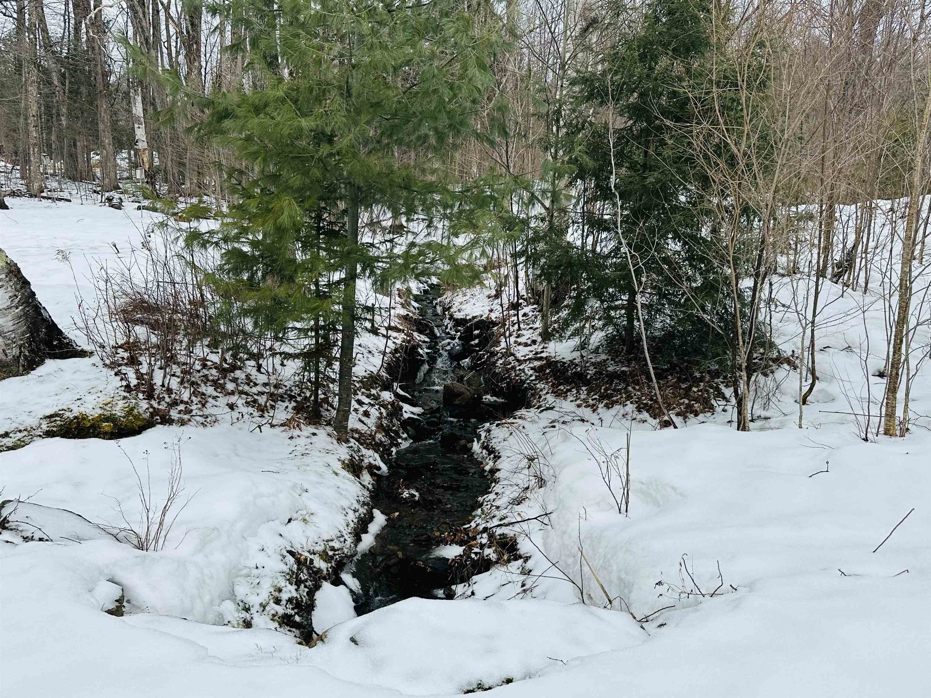 151 Holland Road Dover, VT 05341 - Photo 44 of 47