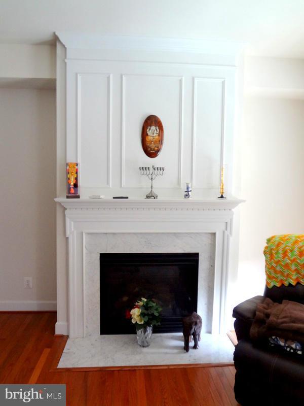 9278 Laurel Ridge Crossing Road Lorton, VA 22079 - Photo 13 of 30 Living Room FP with Marble Surround
