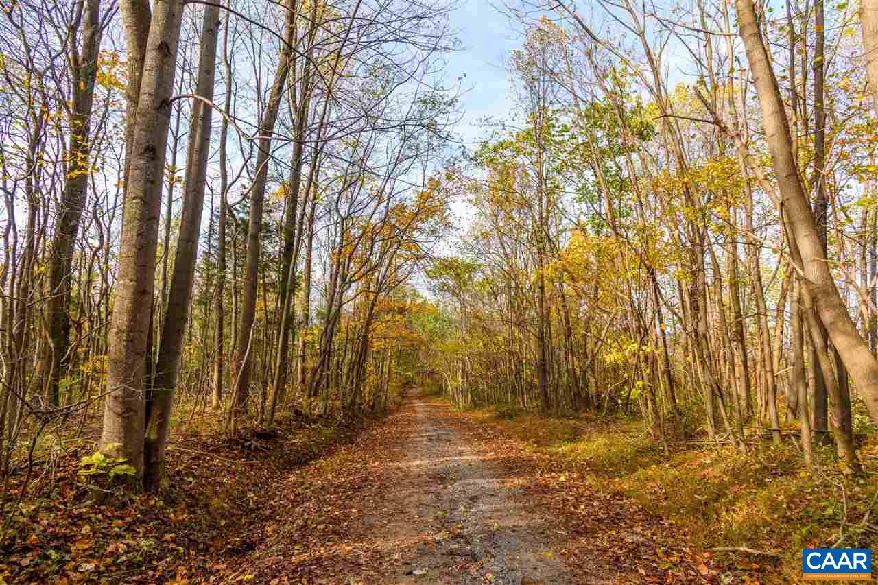 Lot 01800 Sam Mundy Road Barboursville, VA 22923 - Photo 1 of 50 a backyard of a house with lots of green space