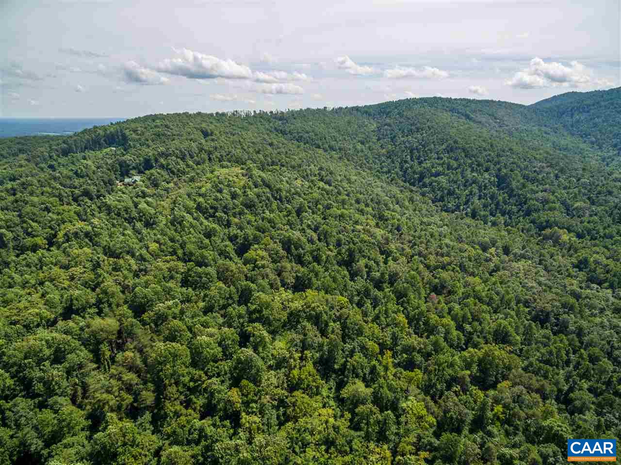 Lot 01800 Sam Mundy Road Barboursville, VA 22923 - Photo 12 of 50 a view of a green field with lots of bushes