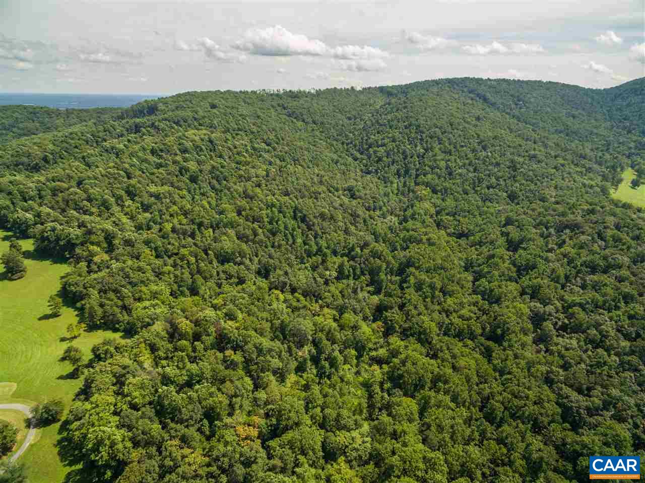 Lot 01800 Sam Mundy Road Barboursville, VA 22923 - Photo 13 of 50 a view of a green field with lots of bushes