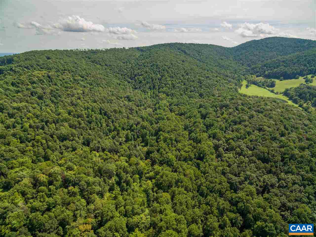 Lot 01800 Sam Mundy Road Barboursville, VA 22923 - Photo 14 of 50 a view of a green field with lots of bushes