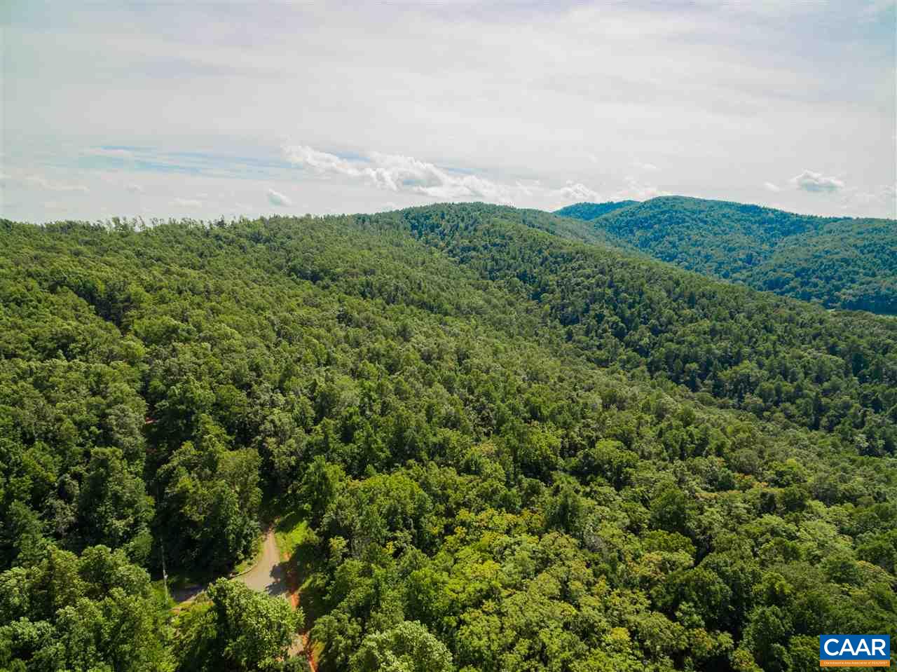 Lot 01800 Sam Mundy Road Barboursville, VA 22923 - Photo 16 of 50 a view of a big yard with plants and large trees