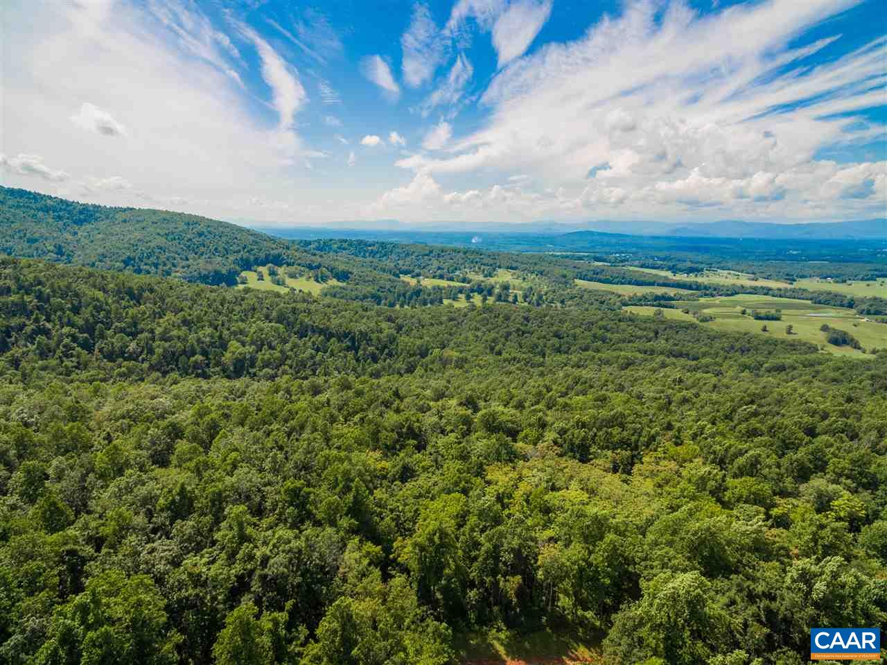 Lot 01800 Sam Mundy Road Barboursville, VA 22923 - Photo 18 of 50 a view of a large yard with lots of green space