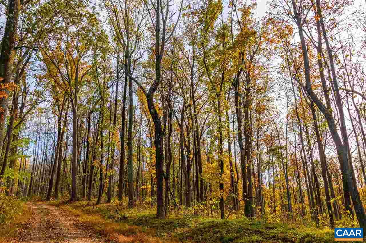 Lot 01800 Sam Mundy Road Barboursville, VA 22923 - Photo 2 of 50 a view of a backyard of the house