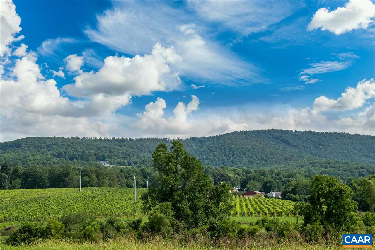 Lot 01800 Sam Mundy Road Barboursville, VA 22923 - Photo 28 of 50 a view of a bunch of trees in a field