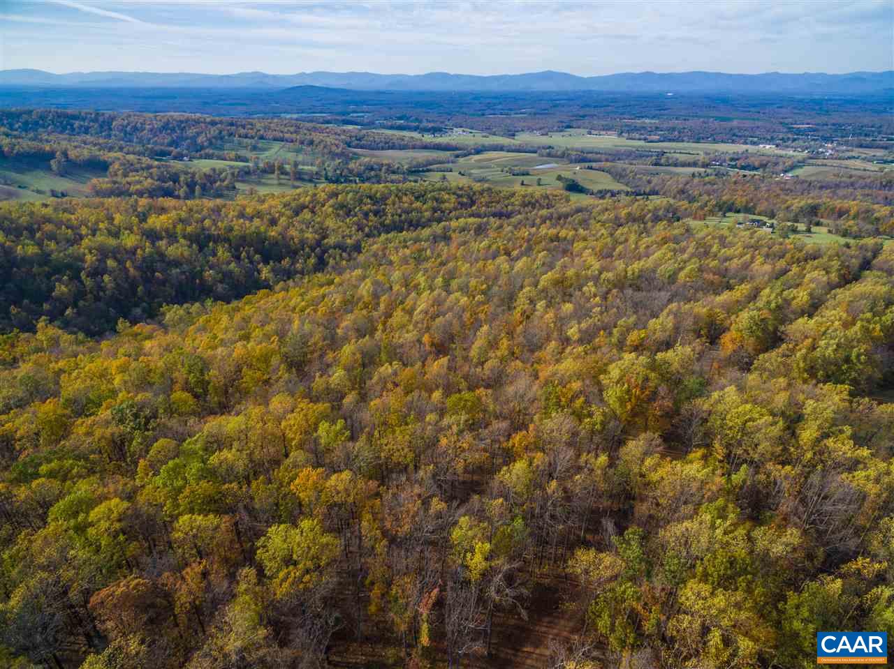 Lot 01800 Sam Mundy Road Barboursville, VA 22923 - Photo 32 of 50