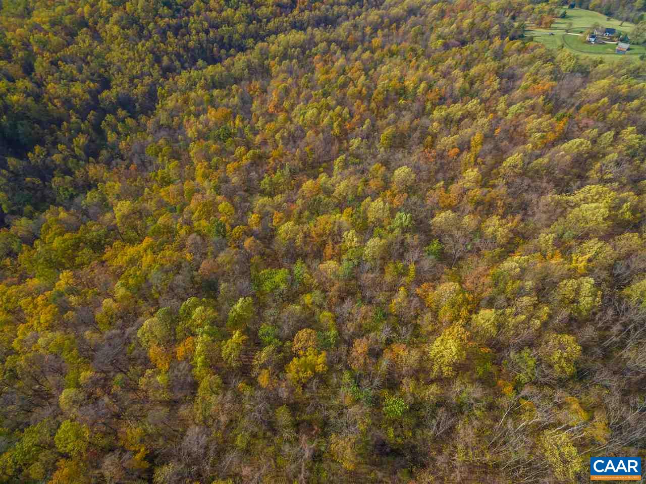 Lot 01800 Sam Mundy Road Barboursville, VA 22923 - Photo 34 of 50 a view of a yard