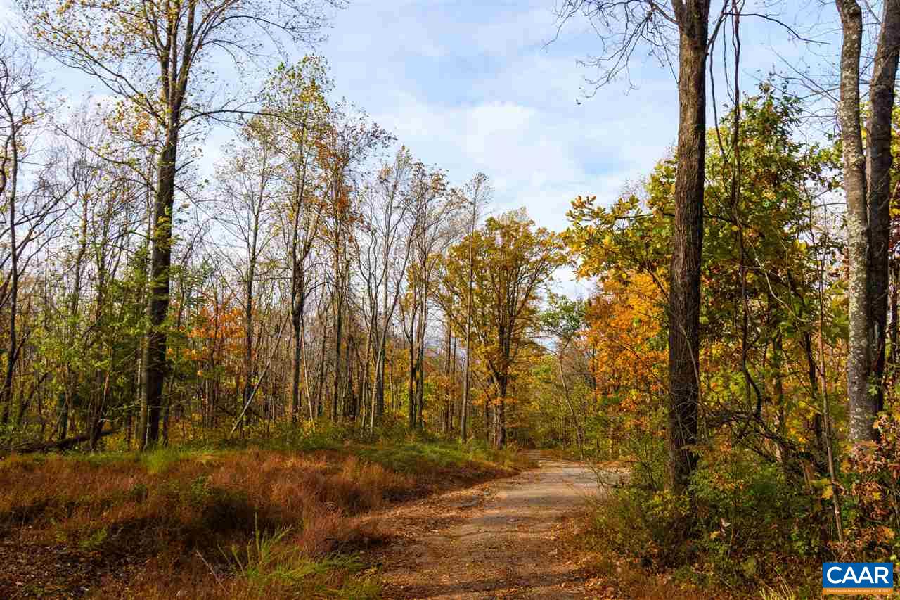 Lot 01800 Sam Mundy Road Barboursville, VA 22923 - Photo 44 of 50 a view of backyard space