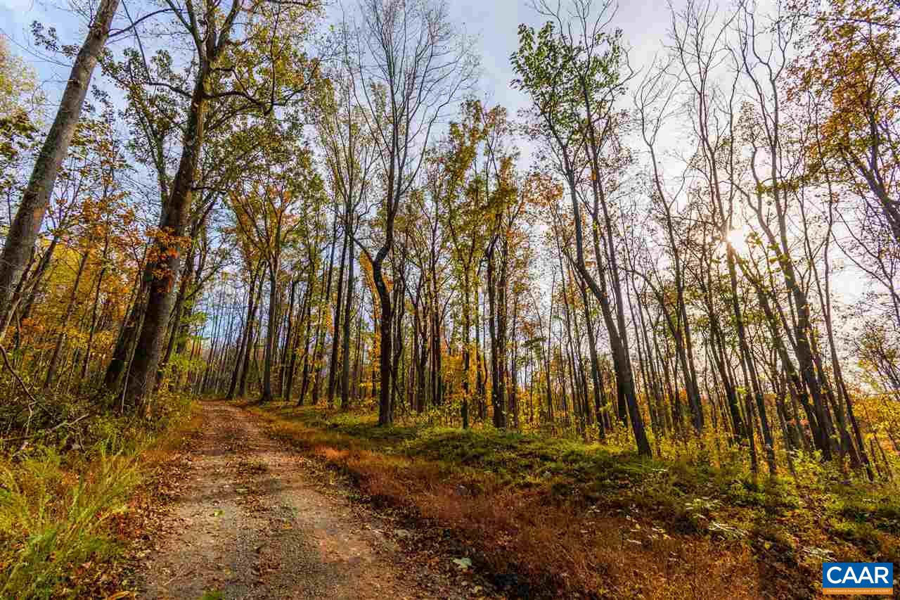 Lot 01800 Sam Mundy Road Barboursville, VA 22923 - Photo 45 of 50 a view of outdoor space with deck