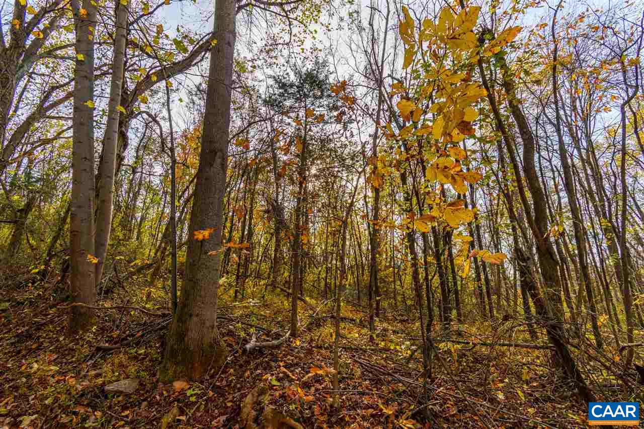 Lot 01800 Sam Mundy Road Barboursville, VA 22923 - Photo 46 of 50 a view of a yard