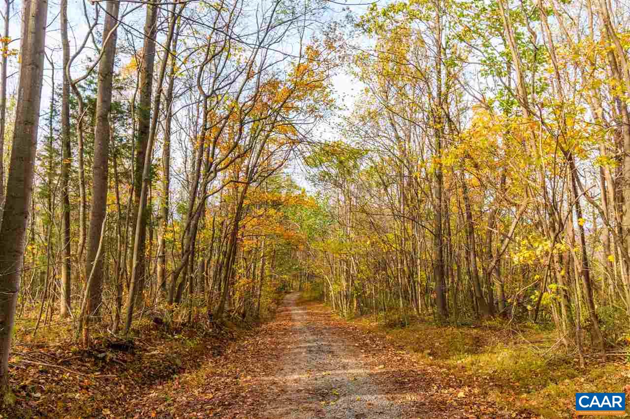 Lot 01800 Sam Mundy Road Barboursville, VA 22923 - Photo 47 of 50