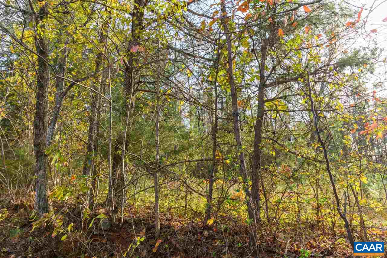 Lot 01800 Sam Mundy Road Barboursville, VA 22923 - Photo 48 of 50 a view of a yard with a tree