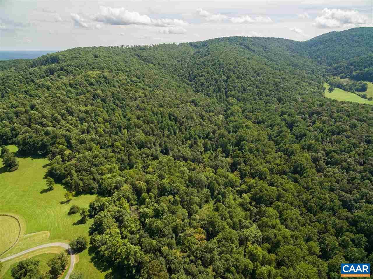 Lot 01800 Sam Mundy Road Barboursville, VA 22923 - Photo 9 of 50 a view of a big yard with plants and large trees