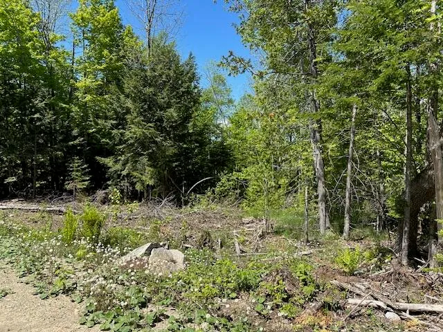 $22,000 | Lot 9 Mt Jefferson Heights, Lee, ME 04455