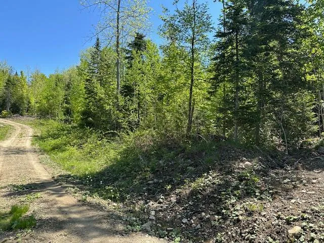 $22,000 | Lot 9 Mt Jefferson Heights, Lee, ME 04455
