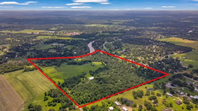 a view of a yard with a trees