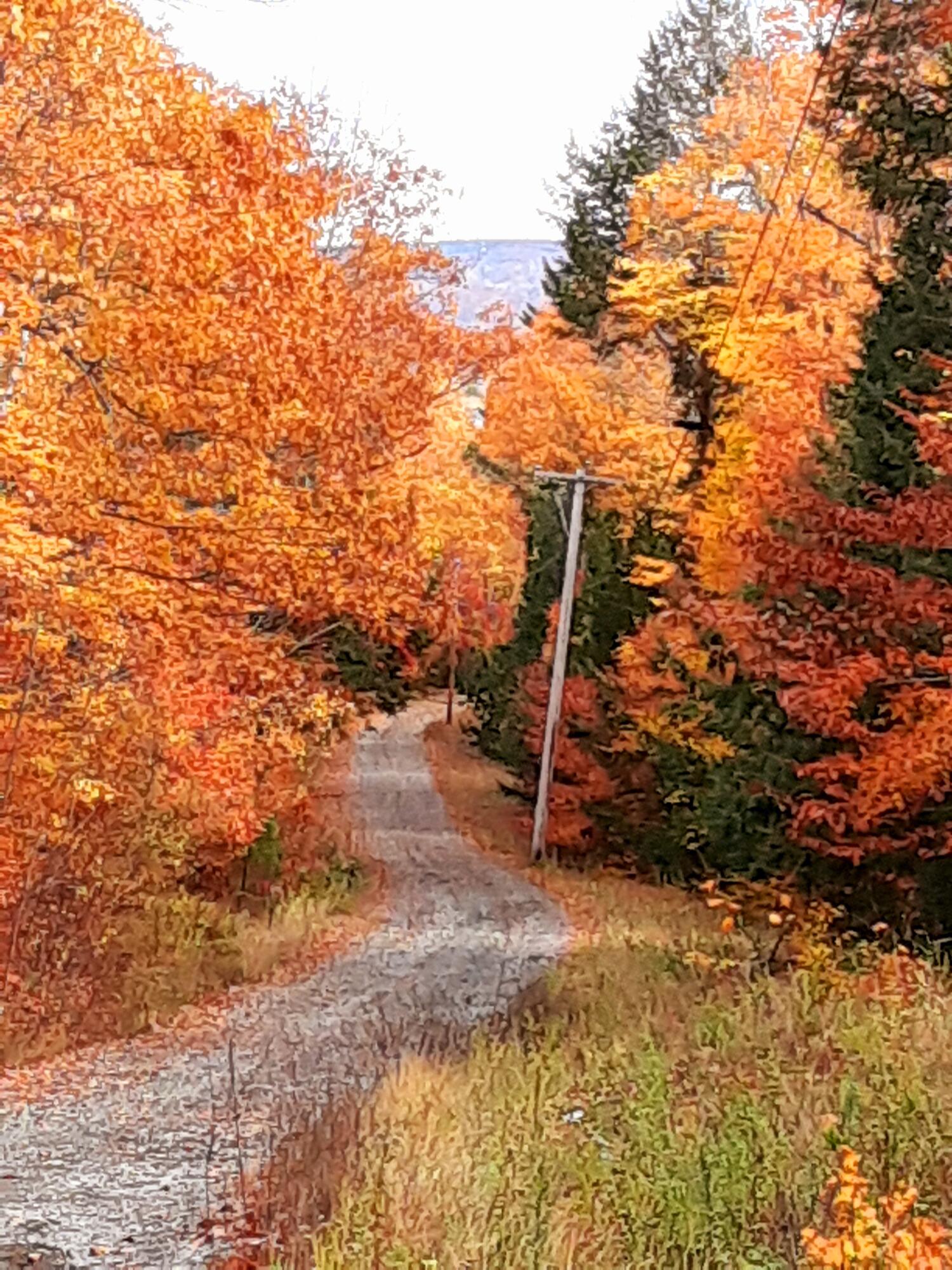 16 Ridge Road Holden, ME 04429 - Photo 4 of 128 20201020_122852