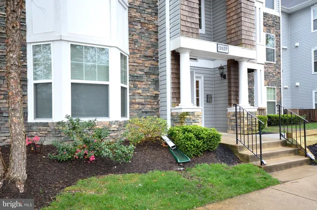 a view of a potted plants in front of a house