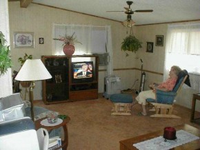 613 Eloy Road Golden Valley, AZ 86413 - Photo 2 of 4 a living room with furniture and a fireplace
