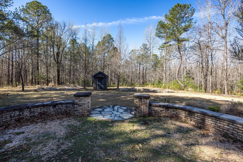 8435 Cartledge Road Box Springs, GA 31801 - Photo 58 of 100 Gallery Image 58