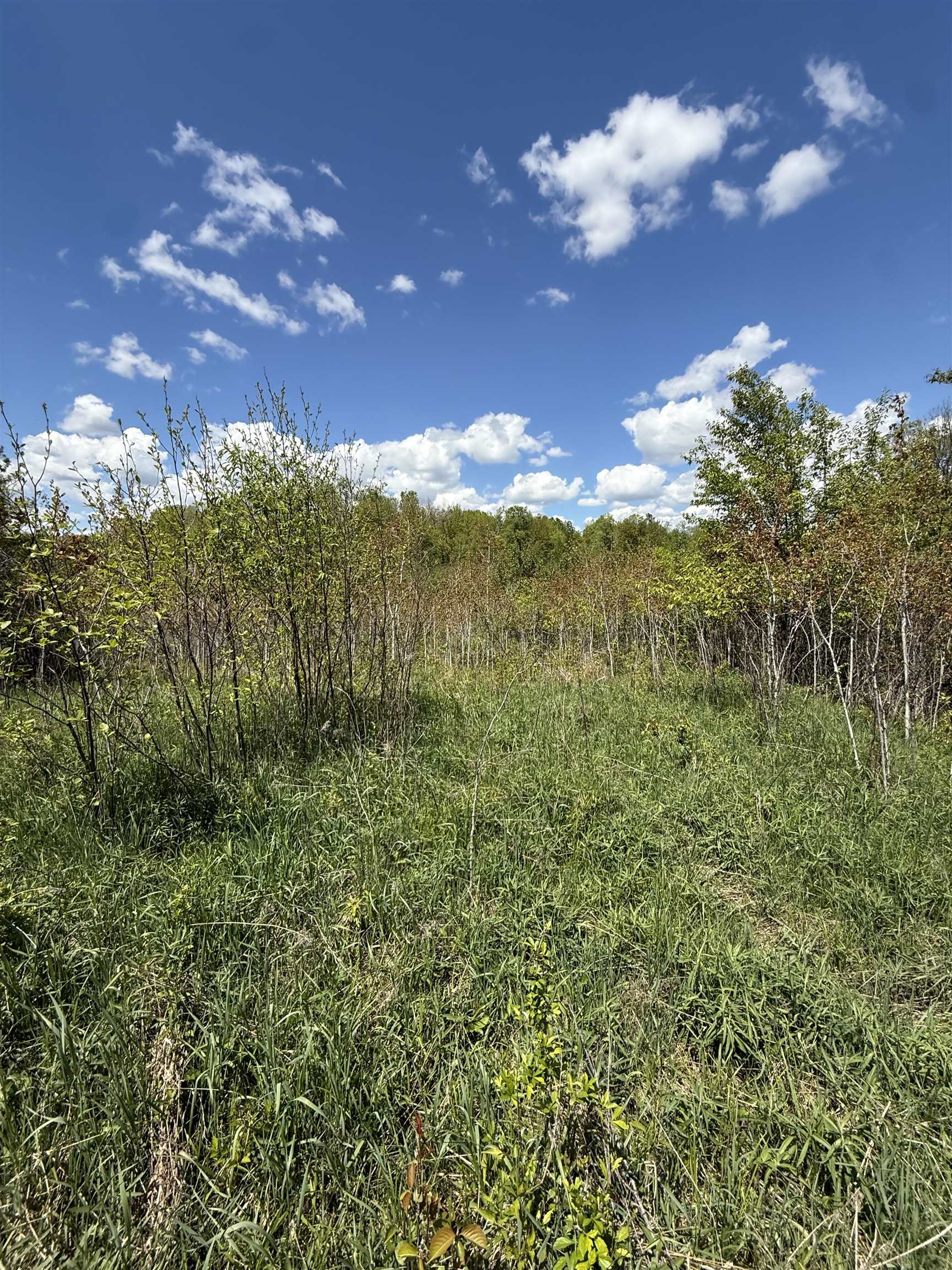 19 Mile Road Kingsley, MI 49649 - Photo 25 of 30