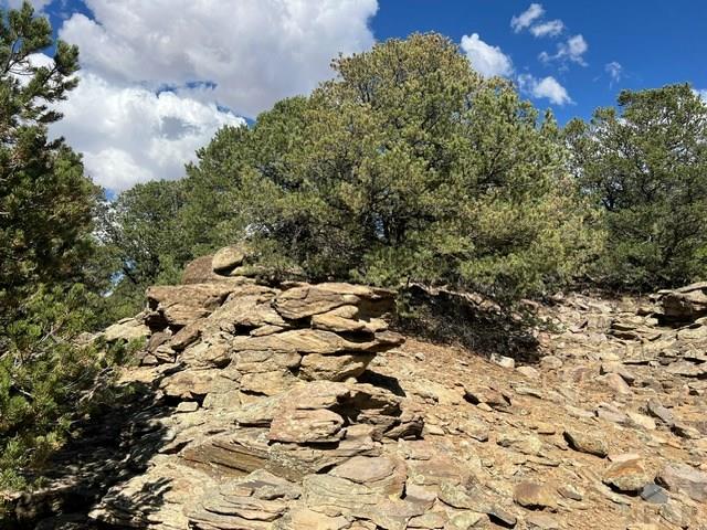 96 River Ridge Trail Walsenburg, CO 81089 - Photo 18 of 28