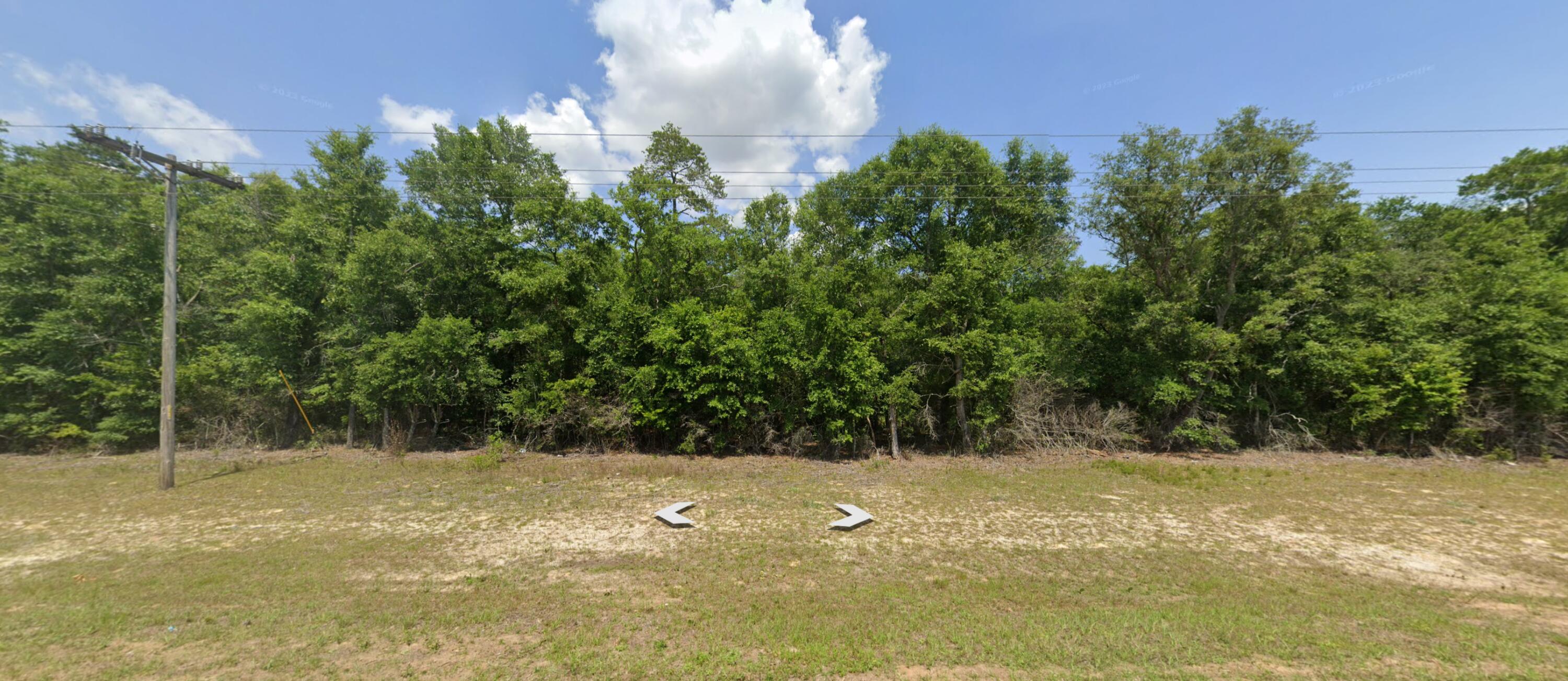 X McCall Bridge Road Quincy, FL 32351 - Photo 2 of 4 Quincy