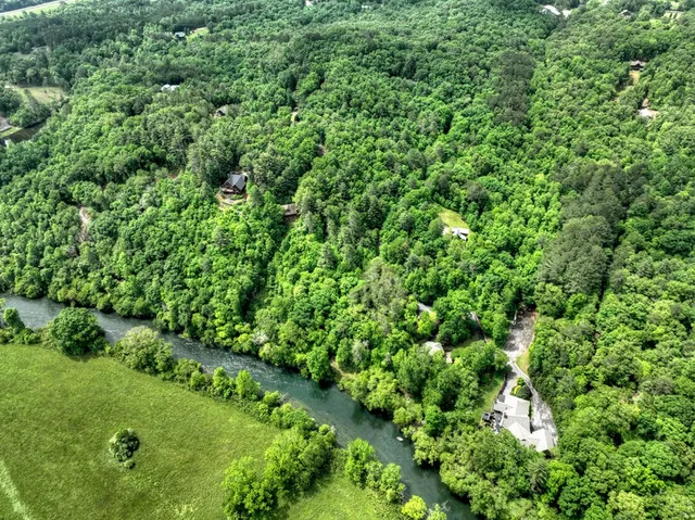 a view of a green field with lots of bushes