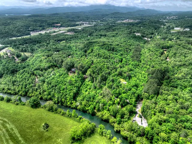 a view of a green field with lots of bushes