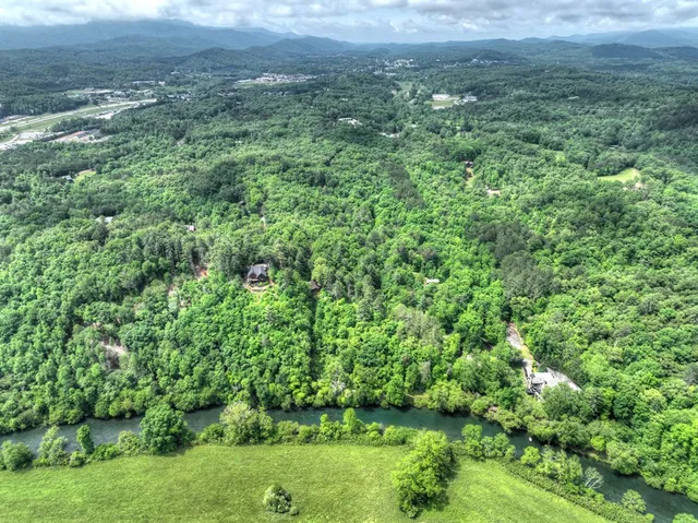a view of a lush green field with lots of bushes