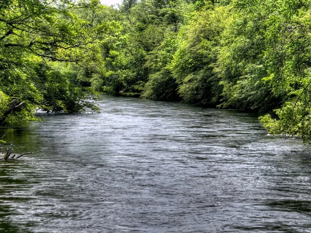 a view of a lake with a yard