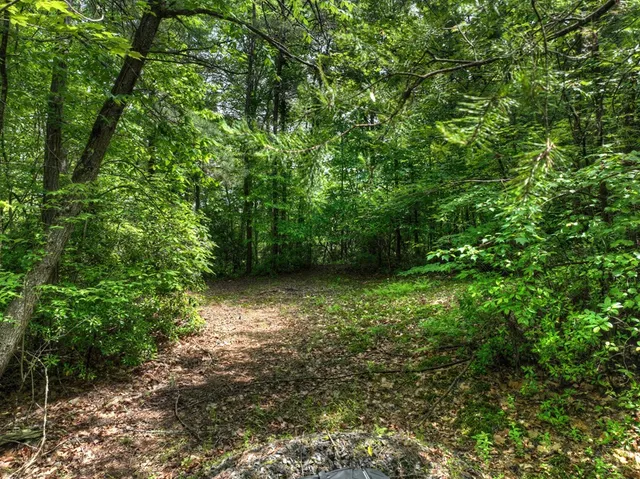 a map view of location