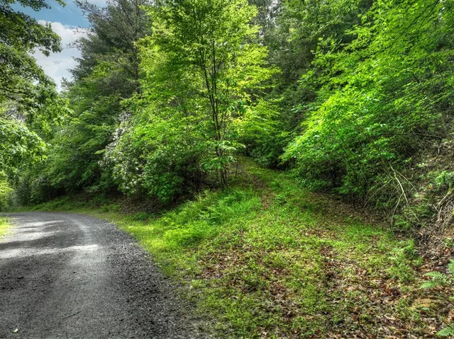 a backyard of a house with lots of green space and lake view