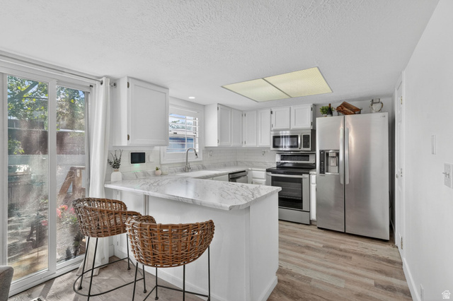 788 East Gables Street Midvale, UT 84047 - Photo 6 of 24 Modern kitchen featuring newly painted white cabinetry, recently replaced countertops, a full suite of stainless steel appliances, and breakfast bar